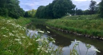 Riverside section of stage 2 of the Greater Manchester Greenbelt Walk in spring