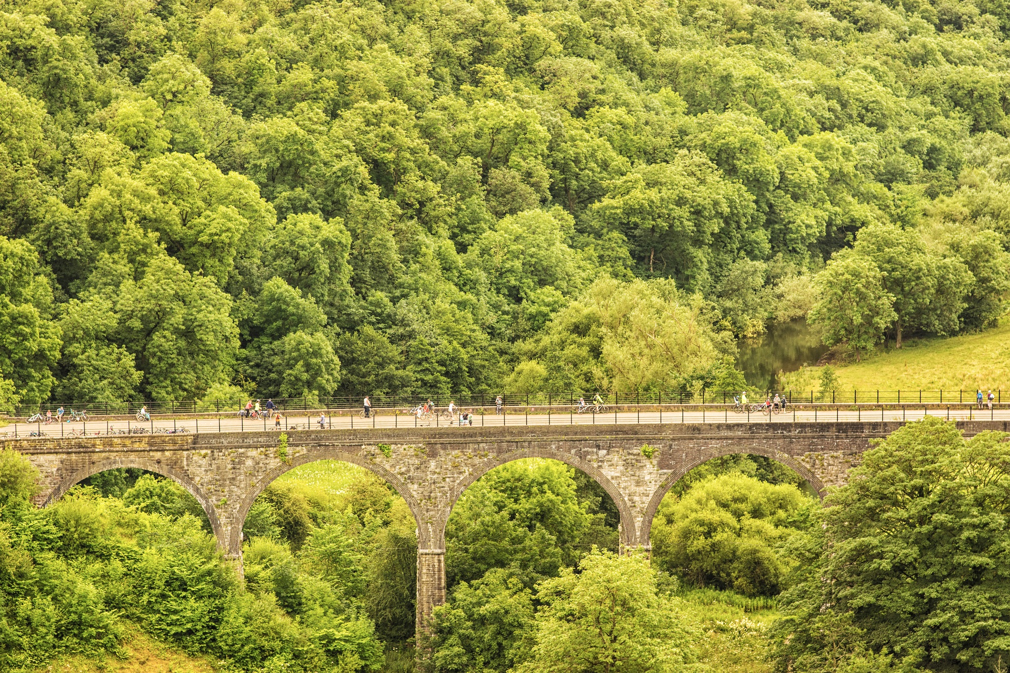 Save Our Monsal Trail CPRE Peak District and South Yorkshire