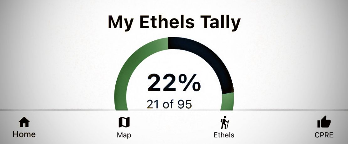 Screen grab of the Ethel Ready app