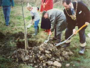 Gerald filling a tree-hole with soil 