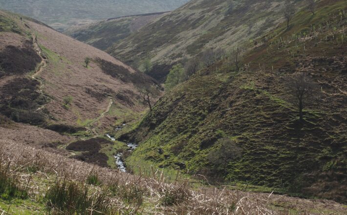 Photography of the Cut Gate bridleway dropping into Cranberry Clough in the Upper Derwent Valley