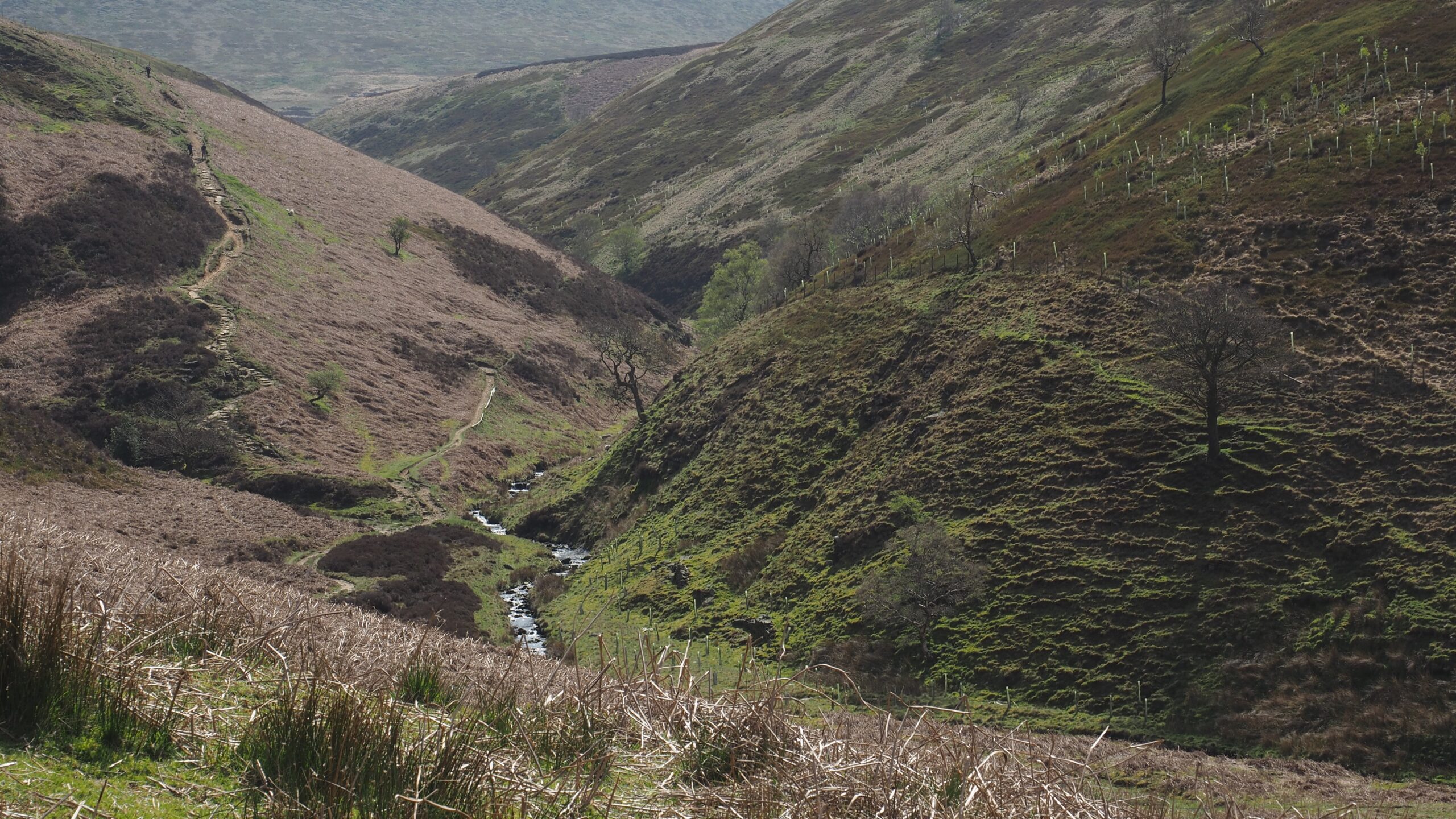 Photography of the Cut Gate bridleway dropping into Cranberry Clough in the Upper Derwent Valley